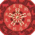 Feng Shui Horoscope 2014 for the Pig