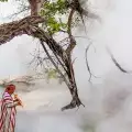 The Legendary Boiling River of Mayantuyacu in the Amazon Boils People Alive