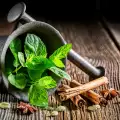 The Magical Properties of Mint! Why Everyone Should Grow it
