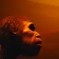 The Truth About Neanderthals and Their Large Noses