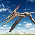 Fossilized Pterosaur Eggs Discovered