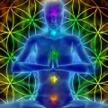 How Many Chakras Does a Person Have?