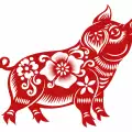 What the Year of the Pig Will be Like for you and Loved Ones