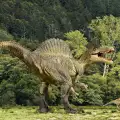 A New Species of Dinosaur Has Been Discovered