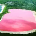 The Mystery of the Pink Lake Hillier