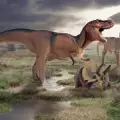 A New Theory About the Extinction of the Dinosaurs