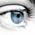 Facts about blue eyed people