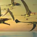 Twenty-Foot Seagulls Once Ruled the Skies of Antarctica