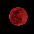 Blood Moon Lunar Eclipse in Aries