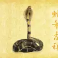 Year of the Snake for Pisces