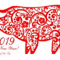 What Kind of Successes Will the Year of the Pig Bring?