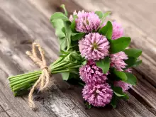 Floral Talismans