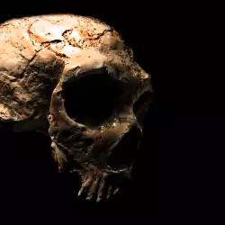 Skull disproved the theory of African ancestors