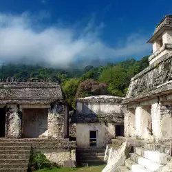 New Mayan Cities Discovered in Mexico