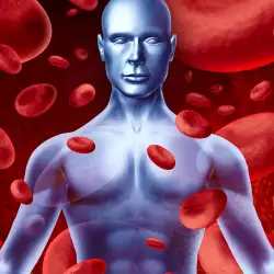 How Much Blood is in the Human Body?