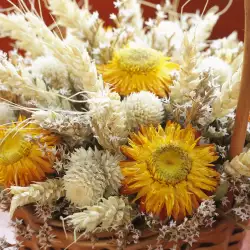 Dried flowers block vital energy