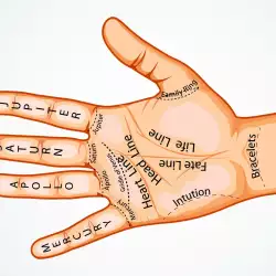 Palmistry - Meaning of the Line of Marriage