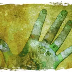 Palmistry - Meaning of the Line of Reasoning