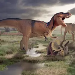 The Dinosaurs Were Killed Off by Mysterious Dark Matter