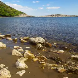 It is a little crazy at the little Israeli town of Mermaids