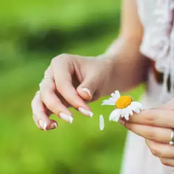 Divination with Flowers