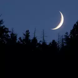 New Moon in Scorpio - Time to Make our Wishes Reality