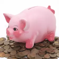 Piggy bank