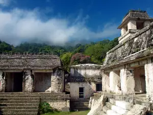 New Mayan Cities Discovered in Mexico