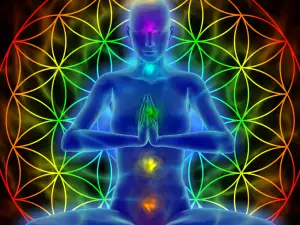 How Many Chakras Does a Person Have?