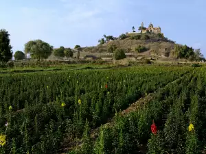 Great Pyramid of Cholula