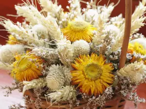 Dried flowers block vital energy