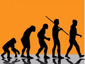 The Most Curious Facts about Human Evolution