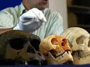 Hobbit Skeletons Prove They Were not Fictional Creatures