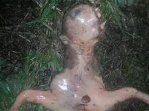 American Woman Finds Alien Body in her Backyard