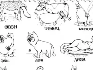 What Cat Breed Are you Based on Zodiac Sign?