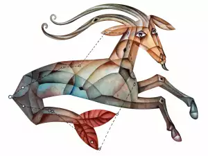 Yearly Horoscope 2017 for Capricorn