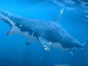 Does the Bloodthirsty Megalodon Shark Swim Free?