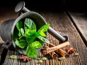 The Magical Properties of Mint! Why Everyone Should Grow it