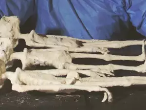 Alien Mummies from Peru Could Turn Human History on its Head