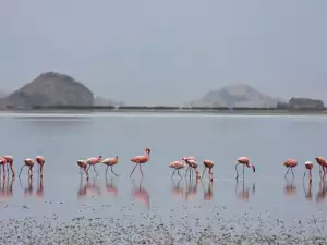 Lake Natron