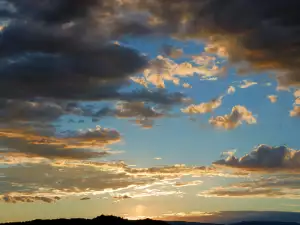 The White Clouds in the Sky Come from Phytoplankton