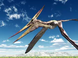 Fossilized Pterosaur Eggs Discovered