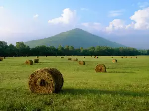 The Pyramids in Bosnia