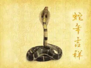 Year of the Snake for Pisces