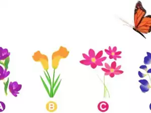 Pick a Flower! Find out What you`re Like in Love