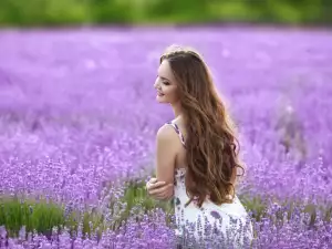 Magical Properties of Lavender you Would Have Never Suspected