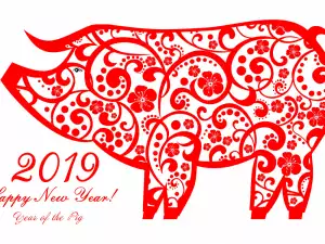 What Kind of Successes Will the Year of the Pig Bring?