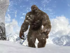 Mushroom Picker Tells of his Encounter with a Yeti