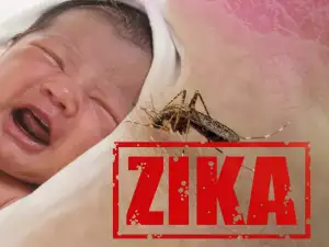 The Zika Virus is an Evil Conspiracy! Analyze the Theories