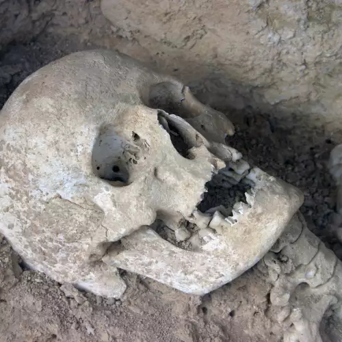 Shocking Crimes from the Past, Revealed by Archaeologists